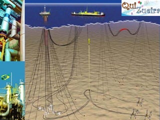 Prof.° Pedro Monteiro
 