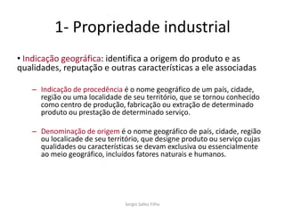 1- Propriedade industrial
• Indicação geográfica: identifica a origem do produto e as
qualidades, reputação e outras características a ele associadas

   – Indicação de procedência é o nome geográfico de um país, cidade,
     região ou uma localidade de seu território, que se tornou conhecido
     como centro de produção, fabricação ou extração de determinado
     produto ou prestação de determinado serviço.

   – Denominação de origem é o nome geográfico de país, cidade, região
     ou localicade de seu território, que designe produto ou serviço cujas
     qualidades ou características se devam exclusiva ou essencialmente
     ao meio geográfico, incluídos fatores naturais e humanos.




                               Sergio Salles Filho
 