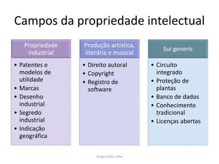 Campos da propriedade intelectual
   Propriedade   Produção artística,
                                                Sui generis
    industrial   literária e musical
• Patentes e     • Direito autoral          • Circuito
  modelos de     • Copyright                  integrado
  utilidade      • Registro de              • Proteção de
• Marcas           software                   plantas
• Desenho                                   • Banco de dados
  industrial                                • Conhecimento
• Segredo                                     tradicional
  industrial                                • Licenças abertas
• Indicação
  geográfica

                      Sergio Salles Filho
 