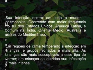 s
-
H
y
m
e
n
o
l
e
p
Sua infecção ocorre em todo o mundo -
cosmopolita. Ocorrendo com maior frequência
no sul dos Estados Unidos, América Latina, é
comum na Índia, Oriente Médio, Austrália e
países do Mediterrâneo.
Em regiões de clima temperado a infecção em
crianças, e grupos fechados é mais alta. As
crianças são mais susceptíveis a esse tipo de
verme; em crianças desnutridas sua infestação
é mais intensa.
 
