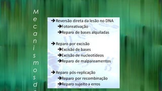 M
e
c
a
n
i
s
m
o
s
d
 