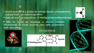 R
e
p
a
r
o
d
e
b
 Ocorre quando há a adição de radicais alquila –principalmente
o grupo metil - no material genético.
 Ação de enzimas específicas: O6
-Metilguanina-metiltransferase
 Não há meios de recuperar a enzima metilada
(necessidade de novas enzimas para cada grupamento
metil removido).
CH3-Cys-Enzima
 