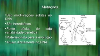 MutaçõesMutações

São modificações súbitas noSão modificações súbitas no
DNADNA

São hereditáriasSão hereditárias

Fonte básica de todaFonte básica de toda
variabilidade genéticavariabilidade genética

Matéria-prima para a evoluçãoMatéria-prima para a evolução

Atuam diretamente no DNA.Atuam diretamente no DNA.
 