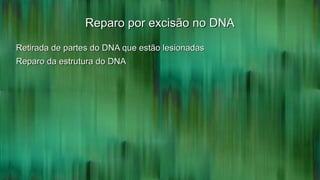 Reparo por excisão no DNAReparo por excisão no DNA
Retirada de partes do DNA que estão lesionadasRetirada de partes do DNA que estão lesionadas
Reparo da estrutura do DNAReparo da estrutura do DNA
 