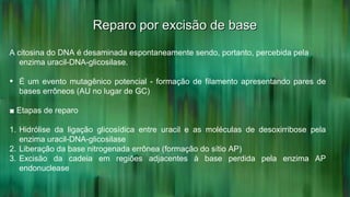 Reparo por excisão de baseReparo por excisão de base
A citosina do DNA é desaminada espontaneamente sendo, portanto, percebida pela
enzima uracil-DNA-glicosilase.
• É um evento mutagênico potencial - formação de filamento apresentando pares de
bases errôneos (AU no lugar de GC)
■ Etapas de reparo
1. Hidrólise da ligação glicosídica entre uracil e as moléculas de desoxirribose pela
enzima uracil-DNA-glicosilase
2. Liberação da base nitrogenada errônea (formação do sítio AP)
3. Excisão da cadeia em regiões adjacentes à base perdida pela enzima AP
endonuclease
 
