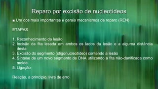 Reparo por excisão de nucleotídeosReparo por excisão de nucleotídeos
■ Um dos mais importantes e gerais mecanismos de reparo (REN)
ETAPAS
1. Reconhecimento da lesão
2. Incisão da fita lesada em ambos os lados da lesão e a alguma distância
desta
3. Excisão do segmento (oligonucleotídeo) contendo a lesão
4. Síntese de um novo segmento de DNA utilizando a fita não-danificada como
molde
5. Ligação
Reação, a princípio, livre de erro
 