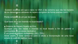 R
e
p
a
r
o
s
u
j
e
Existem ocasiões em que o dano no DNA é tão extremo que não há maneira
de os mecanismos celulares de reparo corrigirem de forma precisa o erro
Perda completa de um par de bases
Qual base deve ser inserida no local lesado?
■ Sistema de Reparo Sujeito ao Erro
Qualquer uma das bases é inserida no local lesado a fim de garantir a
continuidade do processo replicativo
É um possível indutor mutagênico (3/4 – 75%)
Ainda assim, é mais vantajoso para a célula a incorporação de uma base
errada do que não replicar mais.
 