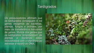 TardígradosTardígrados
Os pesquisadores afirmam queOs pesquisadores afirmam que
os tardígrados conseguem 6 milos tardígrados conseguem 6 mil
genes exógenos de bactérias,genes exógenos de bactérias,
plantas, fungos e archaea, porplantas, fungos e archaea, por
meio da transferência horizontalmeio da transferência horizontal
de genes. Muitos dos genes quede genes. Muitos dos genes que
os tardígrados “emprestaram” deos tardígrados “emprestaram” de
plantas e bactérias estãoplantas e bactérias estão
relacionados com a tolerância aorelacionados com a tolerância ao
estresse e reparo do DNA.estresse e reparo do DNA.
 