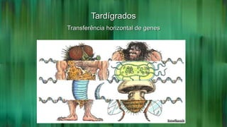 TardígradosTardígrados
Transferência horizontal de genesTransferência horizontal de genes
 