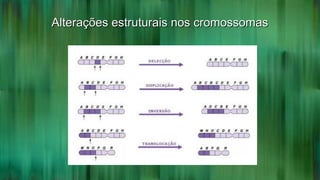 Alterações estruturais nos cromossomasAlterações estruturais nos cromossomas
 