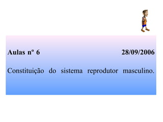 Aulas nº 6 28/09/2006
Constituição do sistema reprodutor masculino.
 