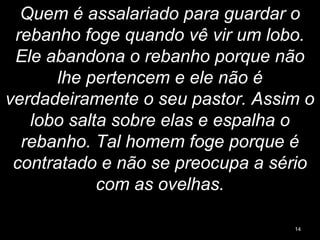 Quem é assalariado para guardar o
rebanho foge quando vê vir um lobo.
Ele abandona o rebanho porque não
lhe pertencem e ele não é
verdadeiramente o seu pastor. Assim o
lobo salta sobre elas e espalha o
rebanho. Tal homem foge porque é
contratado e não se preocupa a sério
com as ovelhas.
14
 
