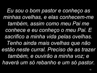 Eu sou o bom pastor e conheço as
minhas ovelhas, e elas conhecem-me
também, assim como meu Pai me
conhece e eu conheço o meu Pai. E
sacrifico a minha vida pelas ovelhas.
Tenho ainda mais ovelhas que não
estão neste curral. Preciso de as trazer
também, e ouvirão a minha voz; e
haverá um só rebanho e um só pastor.
15
 