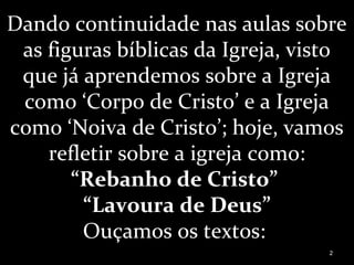 Dando continuidade nas aulas sobre
as figuras bíblicas da Igreja, visto
que já aprendemos sobre a Igreja
como ‘Corpo de Cristo’ e a Igreja
como ‘Noiva de Cristo’; hoje, vamos
refletir sobre a igreja como:
“Rebanho de Cristo”
“Lavoura de Deus”
Ouçamos os textos:
2
 