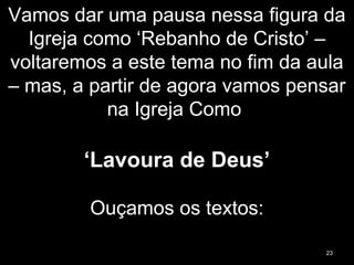 Vamos dar uma pausa nessa figura da
Igreja como ‘Rebanho de Cristo’ –
voltaremos a este tema no fim da aula
– mas, a partir de agora vamos pensar
na Igreja Como
‘Lavoura de Deus’
Ouçamos os textos:
23
 
