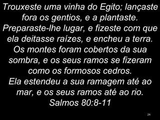 Trouxeste uma vinha do Egito; lançaste
fora os gentios, e a plantaste.
Preparaste-lhe lugar, e fizeste com que
ela deitasse raízes, e encheu a terra.
Os montes foram cobertos da sua
sombra, e os seus ramos se fizeram
como os formosos cedros.
Ela estendeu a sua ramagem até ao
mar, e os seus ramos até ao rio.
Salmos 80:8-11
24
 