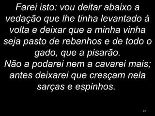 Farei isto: vou deitar abaixo a
vedação que lhe tinha levantado à
volta e deixar que a minha vinha
seja pasto de rebanhos e de todo o
gado, que a pisarão.
Não a podarei nem a cavarei mais;
antes deixarei que cresçam nela
sarças e espinhos.
34
 