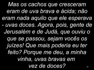 Mas os cachos que cresceram
eram de uva brava e ácida; não
eram nada aquilo que ele esperava
- uvas doces. Agora, pois, gente de
Jerusalém e de Judá, que ouviu o
que se passou, sejam vocês os
juízes! Que mais poderia eu ter
feito? Porque me deu, a minha
vinha, uvas bravas em
vez de doces? 37
 