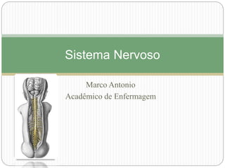 Marco Antonio
Acadêmico de Enfermagem
Sistema Nervoso
 