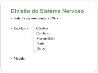 Divisão do Sistema Nervoso
 Sistema nervoso central (SNC)
 Encéfalo - Cérebro
Cerebelo
Mesencéfalo
Ponte
Bulbo
 Medula
 