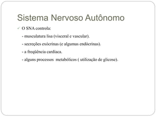 Sistema Nervoso Autônomo
 O SNA controla:
- musculatura lisa (visceral e vascular).
- secreções exócrinas (e algumas endócrinas).
- a freqüência cardíaca.
- alguns processos metabólicos ( utilização de glicose).
 