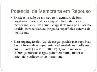 Potencial de Membrana em Repouso
 Existe em razão de um pequeno acúmulo de íons
negativos no citosol, ao longo da face interna da
membrana, e de um acúmulo igual de íons positivos no
líquido extracelular, ao longo da superfícies externa da
membrana.
 Essa separação elétricas de cargas positivas e negativas
é uma forma de energia potencial medida em volts ou
em milivolts (1 mV = 0,001 V). Quanto maior a
diferença entre as cargas pela membrana, maior o
potencial (voltagem) de membrana.
 