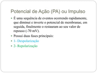 Potencial de Ação (PA) ou Impulso
 É uma sequência de eventos ocorrendo rapidamente,
que diminui e inverte o potencial de membranae, em
seguida, finalmente o restauram ao seu valor de
repouso (-70 mV).
 Possui duas fases principais:
 1- Despolarização
 2- Repolarização
 