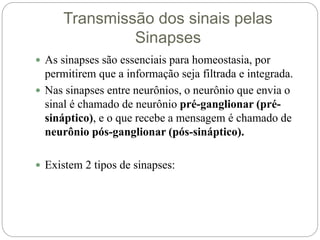Transmissão dos sinais pelas
Sinapses
 As sinapses são essenciais para homeostasia, por
permitirem que a informação seja filtrada e integrada.
 Nas sinapses entre neurônios, o neurônio que envia o
sinal é chamado de neurônio pré-ganglionar (pré-
sináptico), e o que recebe a mensagem é chamado de
neurônio pós-ganglionar (pós-sináptico).
 Existem 2 tipos de sinapses:
 