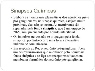 Sinapses Químicas
 Embora as membranas plasmáticas dos neurônios pré e
pós ganglionares, na sinapse química, estejam muito
próximas, elas não se tocam. As membranas são
separadas pela fenda sináptica, que é um espaço de
20-50 nm, preenchido por líquido intersticial.
 Os impulsos nervos não se propagam pela fenda
sináptica, portanto ocorre uma forma alternativa
indireta de comunicação.
 Em resposta ao PA, o neurônio pré-ganglionar libera
um neurotransmissor que se difunde pelo líquido na
fenda sináptica e se liga aos receptores situados na
membrana plasmática do neurônio pós-ganglionar.
 