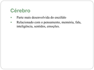Cérebro
 Parte mais desenvolvida do encéfalo
 Relacionado com o pensamento, memória, fala,
inteligência, sentidos, emoções.
 