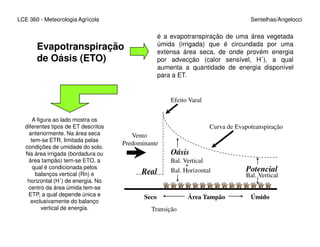 LCE 360 - Meteorologia Agrícola Sentelhas/Angelocci
Evapotranspiração
de Oásis (ETO)
Efeito Varal
Curva de Evapotranspiração
é a evapotranspiração de uma área vegetada
úmida (irrigada) que é circundada por uma
extensa área seca, de onde provém energia
por advecção (calor sensível, H´), a qual
aumenta a quantidade de energia disponível
para a ET.
A figura ao lado mostra os
diferentes tipos de ET descritos Curva de Evapotranspiração
Vento
Predominante
Real
Seco
Transição
Área Tampão Úmido
Oásis
Bal. Vertical
+
Bal. Horizontal Potencial
Bal. Vertical
diferentes tipos de ET descritos
anteriormente. Na área seca
tem-se ETR, limitada pelas
condições de umidade do solo.
Na área irrigada (bordadura ou
área tampão) tem-se ETO, a
qual é condicionada pelos
balanços vertical (Rn) e
horizontal (H´) de energia. No
centro da área úmida tem-se
ETP, a qual depende única e
exclusivamente do balanço
vertical de energia.
 