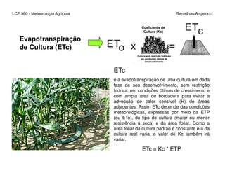 LCE 360 - Meteorologia Agrícola Sentelhas/Angelocci
Evapotranspiração
de Cultura (ETc)
Coeficiente de
Cultura (Kc)
Cultura sem restrição hídrica e
em condições ótimas de
desenvolvimento
ETc
é a evapotranspiração de uma cultura em dada
fase de seu desenvolvimento, sem restriçãofase de seu desenvolvimento, sem restrição
hídrica, em condições ótimas de crescimento e
com ampla área de bordadura para evitar a
advecção de calor sensível (H) de áreas
adjacentes. Assim ETc depende das condições
meteorológicas, expressas por meio da ETP
(ou ETo), do tipo de cultura (maior ou menor
resistência à seca) e da área foliar. Como a
área foliar da cultura padrão é constante e a da
cultura real varia, o valor de Kc também irá
variar.
ETc = Kc * ETP
 
