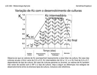 LCE 360 - Meteorologia Agrícola Sentelhas/Angelocci
Variação de Kc com o desenvolvimento de culturas
anuaisKc intermediário
Kc final
Estabele-
cimento
Desenvolvimento
Vegetativo
Florescimento e
Frutificação
Maturação
Tempo (dias)
Observa-se que os valores de Kc acompanham basicamente a área foliar da cultura. No caso das
culturas anuais o Kcini varia de 0,3 a 0,5, Kc intermediário de 0,8 a 1,2, e o Kc final de 0,4 a 0,7,
dependendo do tipo de cultura. No caso de culturas perenes ou árvores, os valores de Kc também
irão variar de acordo com o IAF e o tipo de cultura. Veja a seguir as diferenças nos estágios de
desenvolvimento entre os diversos tipos de cultura, inclusive a de referência.
 