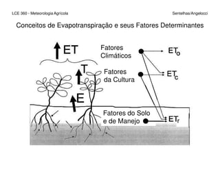 Conceitos de Evapotranspiração e seus Fatores Determinantes
LCE 360 - Meteorologia Agrícola Sentelhas/Angelocci
Fatores
Climáticos
Fatores
da Cultura
Fatores do Solo
e de Manejo r
 