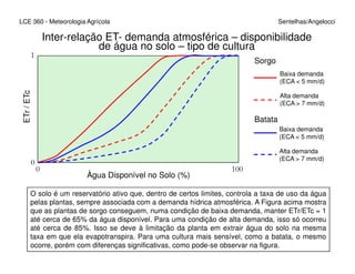 LCE 360 - Meteorologia Agrícola Sentelhas/Angelocci
Inter-relação ET- demanda atmosférica – disponibilidade
de água no solo – tipo de cultura
1
ETr/ETc
Sorgo
Batata
Baixa demanda
(ECA < 5 mm/d)
Alta demanda
(ECA > 7 mm/d)
Baixa demanda
(ECA < 5 mm/d)
Àgua Disponível no Solo (%)
0 100
0
(ECA < 5 mm/d)
Alta demanda
(ECA > 7 mm/d)
O solo é um reservatório ativo que, dentro de certos limites, controla a taxa de uso da água
pelas plantas, sempre associada com a demanda hídrica atmosférica. A Figura acima mostra
que as plantas de sorgo conseguem, numa condição de baixa demanda, manter ETr/ETc = 1
até cerca de 65% da água disponível. Para uma condição de alta demanda, isso só ocorreu
até cerca de 85%. Isso se deve à limitação da planta em extrair água do solo na mesma
taxa em que ela evapotranspira. Para uma cultura mais sensível, como a batata, o mesmo
ocorre, porém com diferenças significativas, como pode-se observar na figura.
 