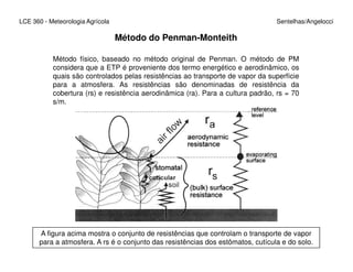 Método do Penman-Monteith
Método físico, baseado no método original de Penman. O método de PM
considera que a ETP é proveniente dos termo energético e aerodinâmico, os
quais são controlados pelas resistências ao transporte de vapor da superfície
para a atmosfera. As resistências são denominadas de resistência da
cobertura (rs) e resistência aerodinâmica (ra). Para a cultura padrão, rs = 70
s/m.
LCE 360 - Meteorologia Agrícola Sentelhas/Angelocci
A figura acima mostra o conjunto de resistências que controlam o transporte de vapor
para a atmosfera. A rs é o conjunto das resistências dos estômatos, cutícula e do solo.
 