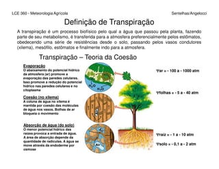 LCE 360 - Meteorologia Agrícola Sentelhas/Angelocci
Transpiração – Teoria da Coesão
Evaporação
O abaixamento do potencial hídrico
da atmosfera (ar) promove a
evaporação das paredes celulares.
Isso promove a redução do potencial
hídrico nas paredes celulares e no
ΨΨΨΨar = - 100 a - 1000 atm
Definição de Transpiração
A transpiração é um processo biofísico pelo qual a água que passou pela planta, fazendo
parte de seu metabolismo, é transferida para a atmosfera preferencialmente pelos estômatos,
obedecendo uma série de resistências desde o solo, passando pelos vasos condutores
(xilema), mesófilo, estômatos e finalmente indo para a atmosfera.
hídrico nas paredes celulares e no
citoplasma
Coesão (no xilema)
A coluna de água no xilema é
mantida por coesão das moléculas
de água nos vasos. Bolhas de ar
bloqueia o movimento
Absorção de água (do solo)
O menor potencial hídrico das
raízes provoca a entrada de água.
A área de absorção depende da
quantidade de radículas. A água se
move através da endoderme por
osmose
ΨΨΨΨsolo = - 0,1 a - 2 atm
ΨΨΨΨraíz = - 1 a - 10 atm
ΨΨΨΨfolhas = - 5 a - 40 atm
 