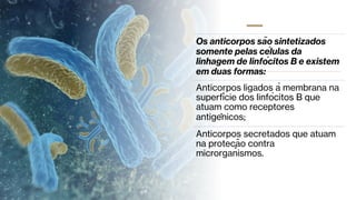 Os anticorpos são sintetizados
somente pelas células da
linhagem de linfócitos B e existem
em duas formas:
Anticorpos ligados à membrana na
superﬁ́cie dos linfócitos B que
atuam como receptores
antigênicos;
Anticorpos secretados que atuam
na proteção contra
microrganismos.
 
