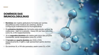 DOMÍNIOS DAS
IMUNOGLOBULINAS
• Domínios são regiões globulares formadas por pontes
dissulfídicas entre resíduos de cisteínas, dando a
conﬁguração tridimensional às imunoglobulinas
• Os primeiros domínios são formados pela porção variável da
cadeia leve – light (L) e pesada – heavy (H), por isso referidos
como VL e VH, respectivamente.
• Já os segundos domínios são dados pelo início das porções
constantes, sendo designados como CL e CH1;
• O terceiro e o quarto domínio são CH2 e CH3,
respecticamente. A IgM e a IgE apresentam quinto domínio
(CH4).
• Os domínios VL e VH são pareados, assim como CL e CH1
 
