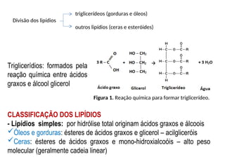 Triglicerídios: formados pela
reação química entre ácidos
graxos e álcool glicerol
Figura 1. Reação química para formar triglicerídeo.
CLASSIFICAÇÃO DOS LIPÍDIOS
- Lipídios simples: por hidrólise total originam ácidos graxos e álcoois
Óleos e gorduras: ésteres de ácidos graxos e glicerol – acilgliceróis
Ceras: ésteres de ácidos graxos e mono-hidroxialcoóis – alto peso
molecular (geralmente cadeia linear)
triglicerídeos (gorduras e óleos)
Divisão dos lipídios
outros lipídios (ceras e esteróides)
 