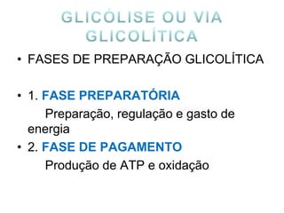 • FASES DE PREPARAÇÃO GLICOLÍTICA
• 1. FASE PREPARATÓRIA
Preparação, regulação e gasto de
energia
• 2. FASE DE PAGAMENTO
Produção de ATP e oxidação
 