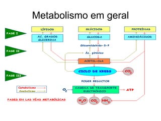 Metabolismo em geral
 