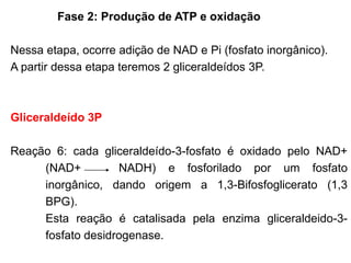 Nessa etapa, ocorre adição de NAD e Pi (fosfato inorgânico).
A partir dessa etapa teremos 2 gliceraldeídos 3P.
Gliceraldeído 3P
Reação 6: cada gliceraldeído-3-fosfato é oxidado pelo NAD+
(NAD+ NADH) e fosforilado por um fosfato
inorgânico, dando origem a 1,3-Bifosfoglicerato (1,3
BPG).
Esta reação é catalisada pela enzima gliceraldeido-3-
fosfato desidrogenase.
Fase 2: Produção de ATP e oxidação
 