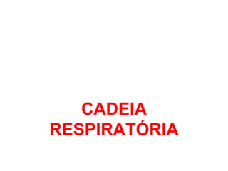 CADEIA
RESPIRATÓRIA
 