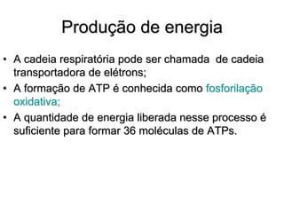 Produção de energia
• A cadeia respiratória pode ser chamada de cadeia
transportadora de elétrons;
• A formação de ATP é conhecida como fosforilação
oxidativa;
• A quantidade de energia liberada nesse processo é
suficiente para formar 36 moléculas de ATPs.
 