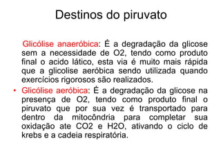 Destinos do piruvato
Glicólise anaeróbica: É a degradação da glicose
sem a necessidade de O2, tendo como produto
final o acido lático, esta via é muito mais rápida
que a glicolise aeróbica sendo utilizada quando
exercícios rigorosos são realizados.
• Glicólise aeróbica: É a degradação da glicose na
presença de O2, tendo como produto final o
piruvato que por sua vez é transportado para
dentro da mitocôndria para completar sua
oxidação ate CO2 e H2O, ativando o ciclo de
krebs e a cadeia respiratória.
 