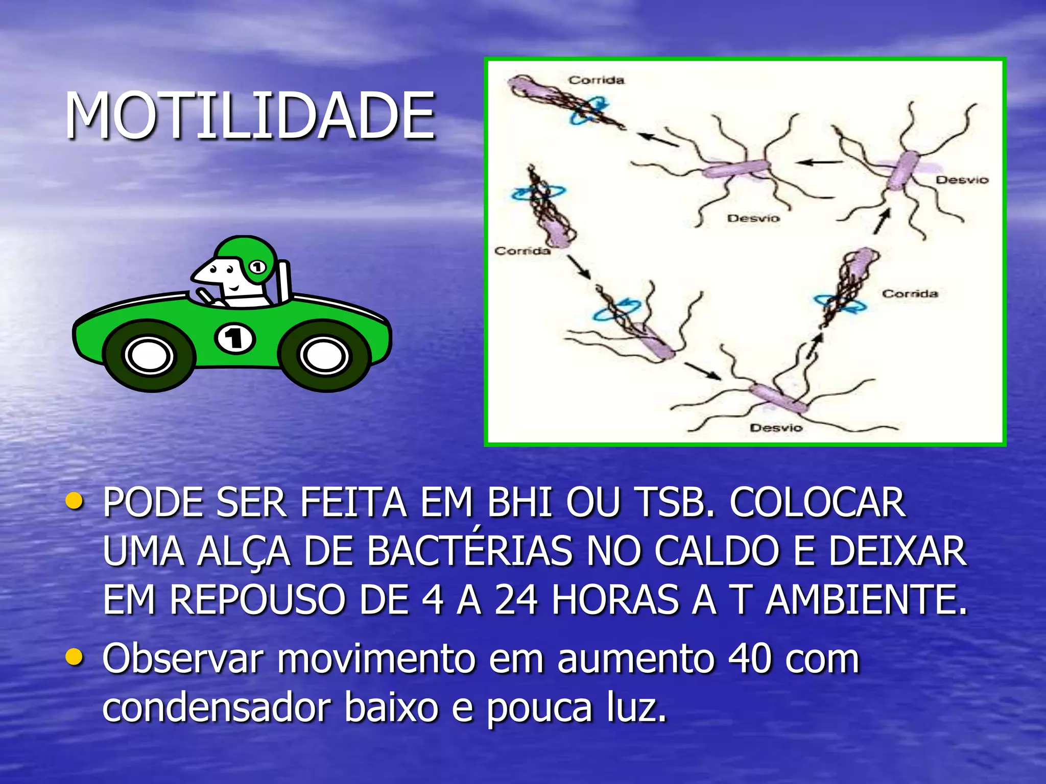 Lisina – Colocar uma alçada da bactéria e adicionar óleo mineral estéril. A mudança de cor significa resultado NEGATIVO.Dnase – Pode ser feita com HCl. Se observado halo claro o resultado é positivo.