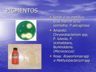 PIGMENTOSVerde e/ou metálico e/ou marron e/ou vermelha: P.aeruginosa Amarelo: Chryseobacterium spp, P. luteola, P. orzihabitans, Burkholderia. (Micrococcus)Rosa: Roseomonas spp e Methylobacterium spp