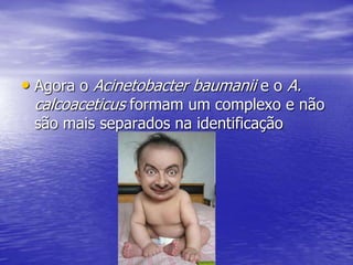 BGNNF OXI neg, MOT pos