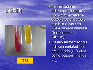 BGNNFFermentadores utilizam carboidratos por via fermentativa aeróbia ou anaeróbia, por isso a base do TSI é sempre amarela (fermentou a Glicose).Os não fermentadores utilizam metabolismo respiratório (o O atua como aceptor final de e-_TSI